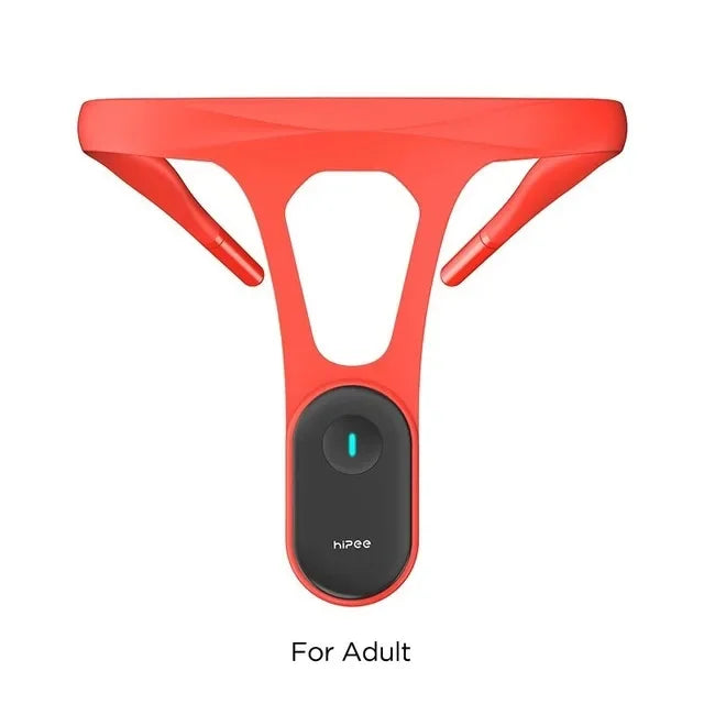 Posture Correction Device